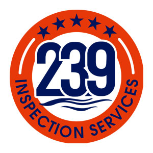 239 logo